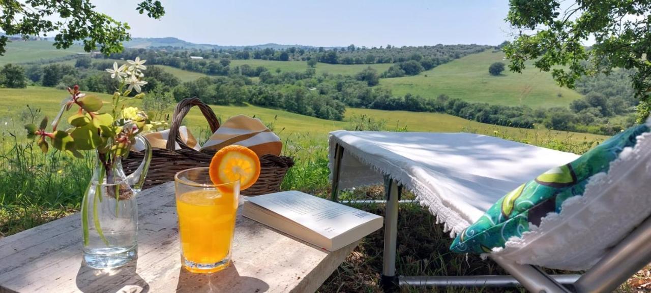 Farm stay Agriturismo Podere Verdicchio Scansano