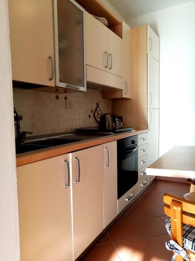 Farm stay Agriturismo Podere Verdicchio